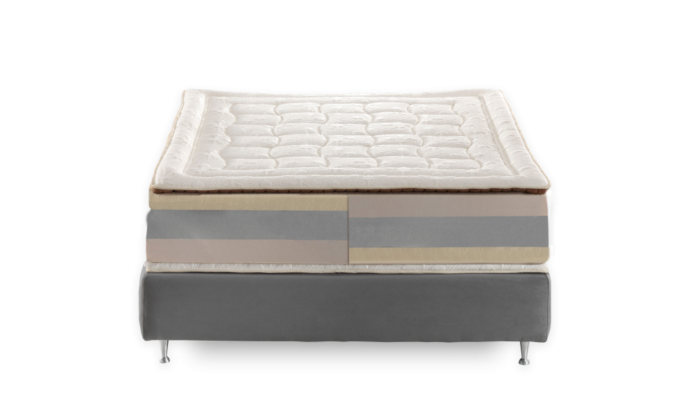 AMRMONIA-DUAL-inside-1000x600-1000x600